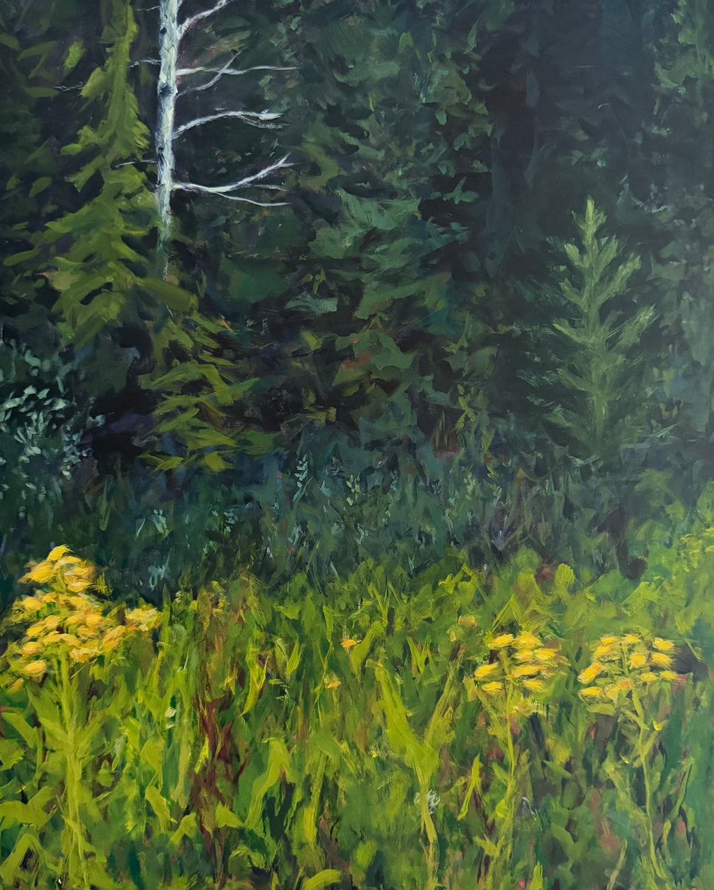 Woodland Edge